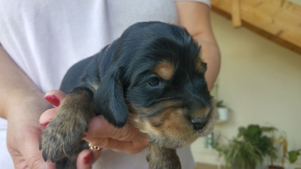 Breeding Of Hope D'Emi - Quelques photos...